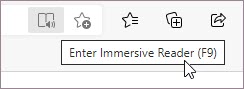 Immersive Reader icon