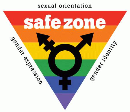 Safe Zone Logo