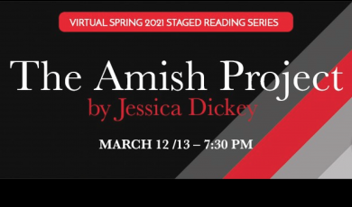 The Amish Project